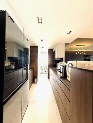 The Quartz (D19), Condominium #496174021